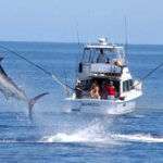 FISHING IN JACO