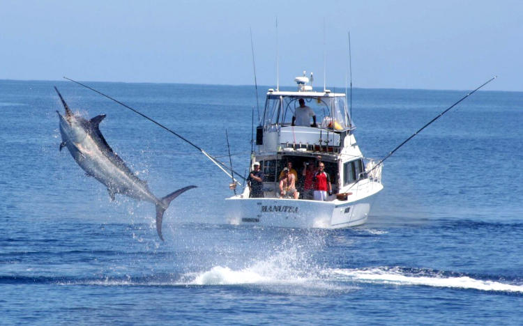 FISHING IN JACO